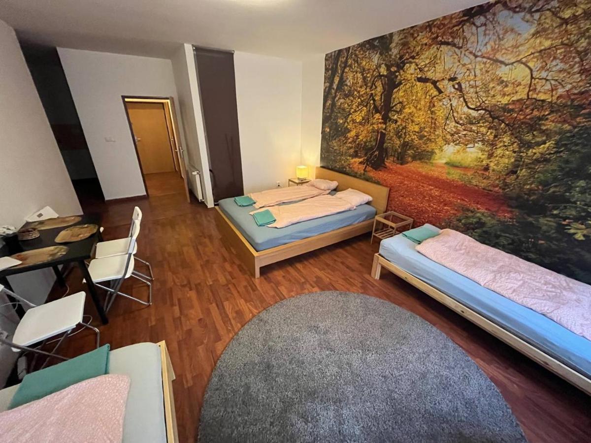 Apartments Spolkova Μπρνο Εξωτερικό φωτογραφία